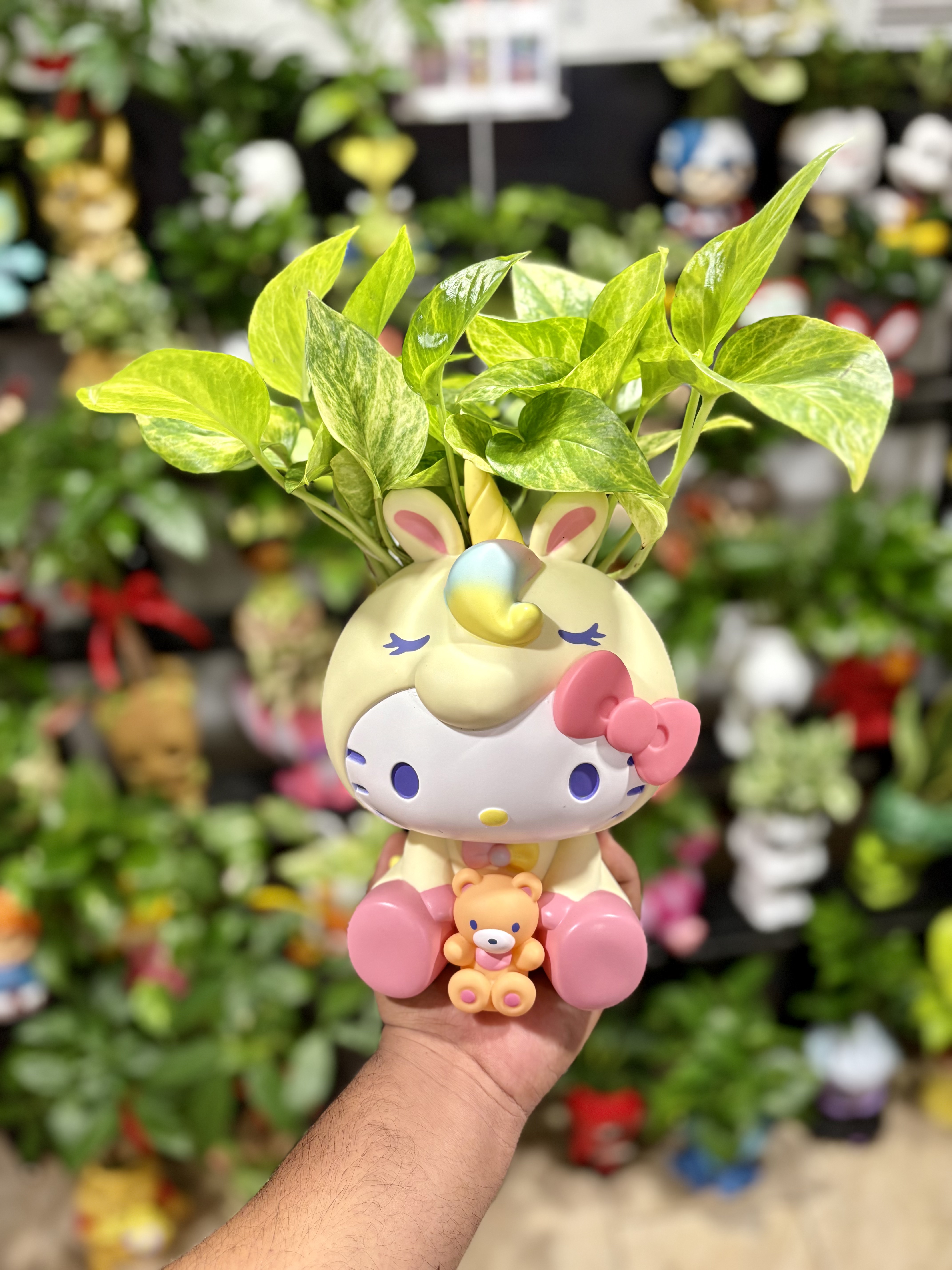 Hello Kitty Style 3 – Third variant planter with compact foliage cluster